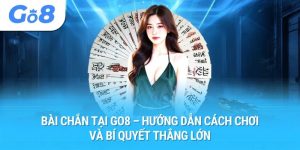 bài chắn